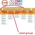 Smart Groups DSTAR sul reflector XLX039