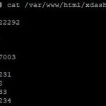 XLX e gestione DG-ID personalizzata, lettura configurazione da file